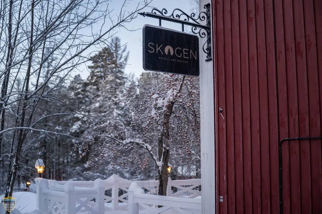 2025_Curbstone_Lapland_Experience_Group3_Day2_7.webp